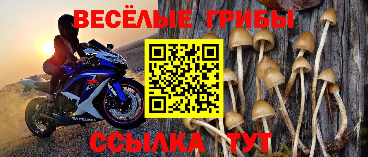 Псилоцибиновые грибы MAGIC MUSHROOMS  Вход с VPN  Семилуки  Псилоцибиновые грибы ЛСД 